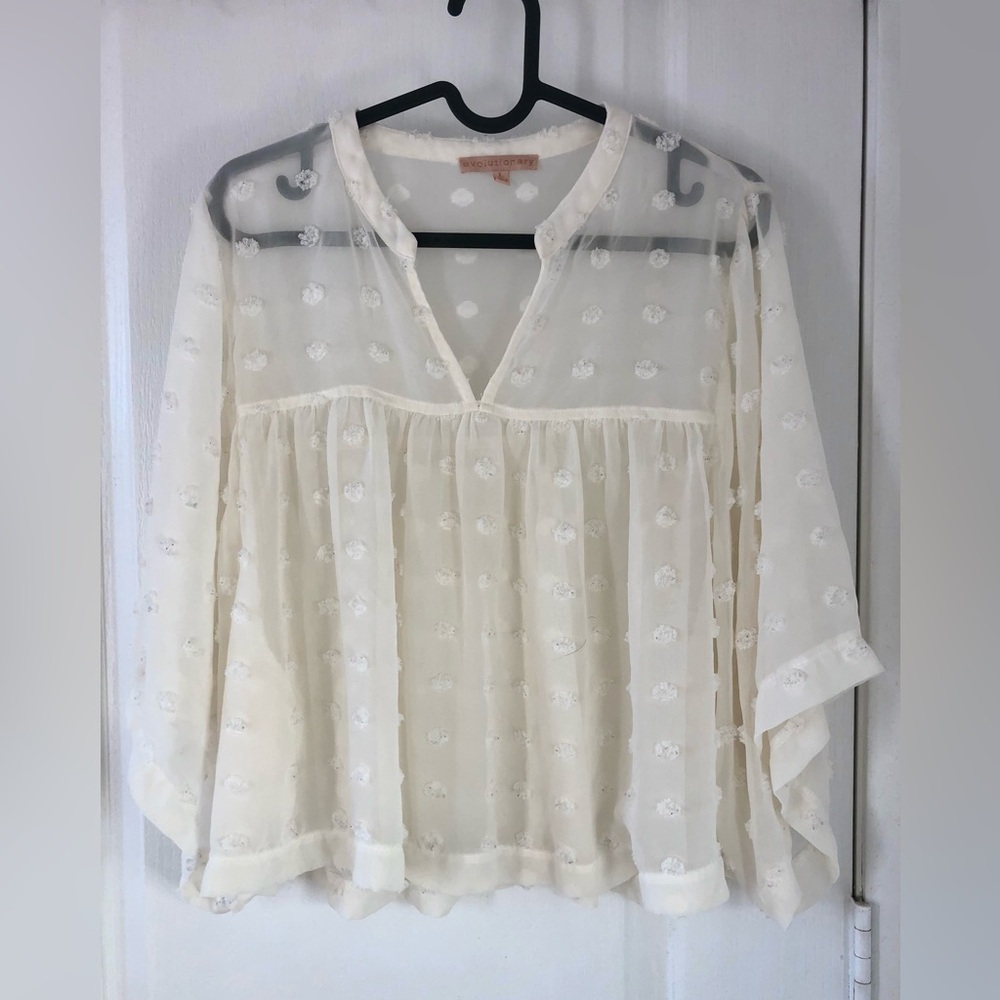Chic SheerCream Blouse